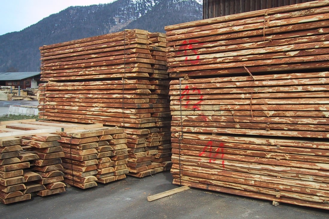 Fir and larch logs Fir and larch logs